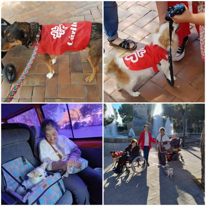 terapia canina